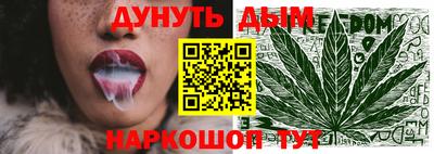 крисы Малгобек