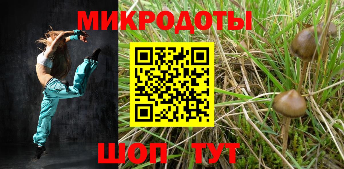 Сунжа  Псилоцибиновые грибы MAGIC MUSHROOMS  Вход с VPN 
