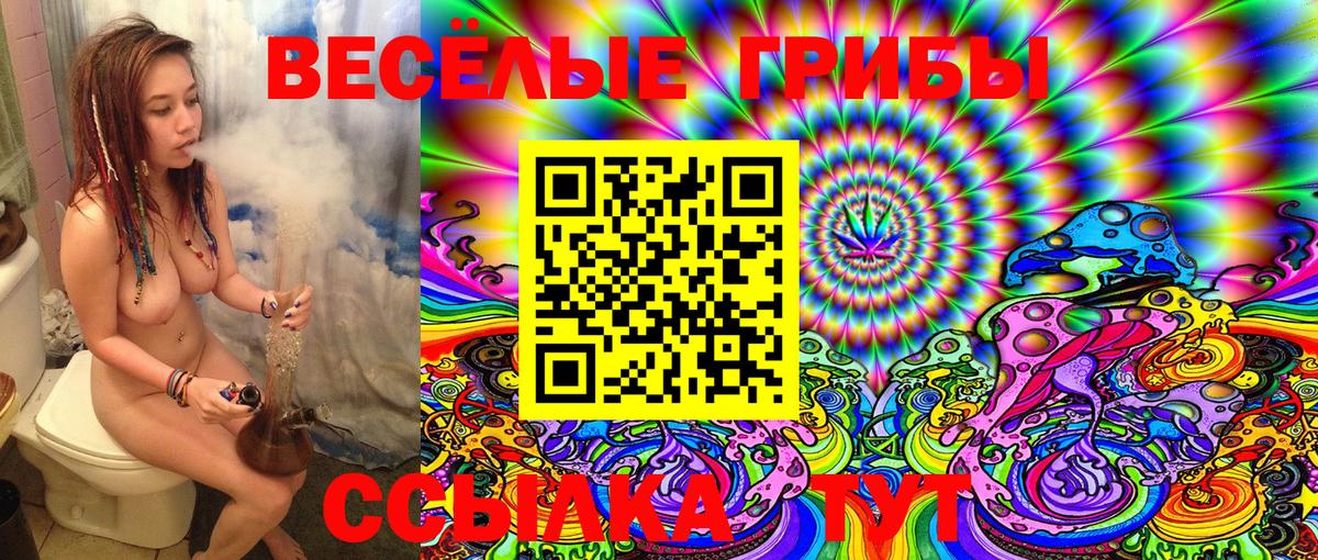 Галлюциногенные грибы Psilocybe Сунжа